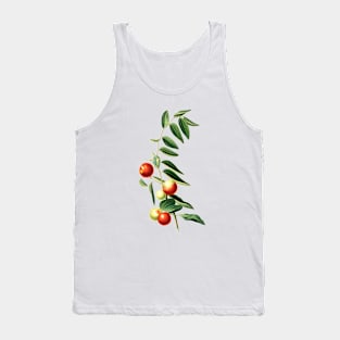 Vintage Botanical Illustration - Chinese Jujube 139 Tank Top